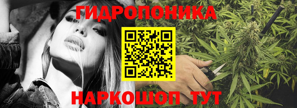 Шишки марихуана ГИДРОПОН Ивантеевка